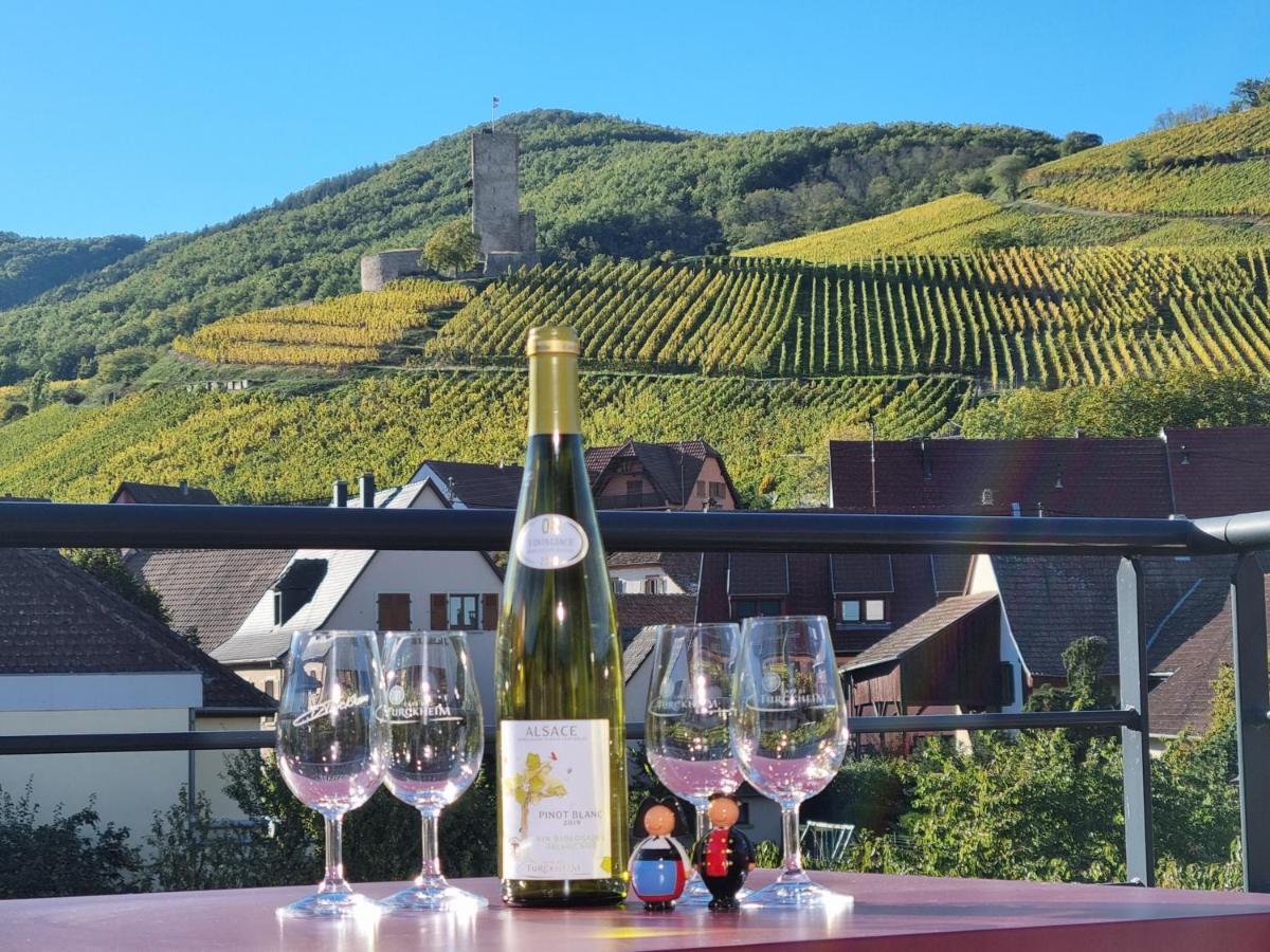 Gites Les Terrasses Du Wineck Katzenthal Exteriér fotografie