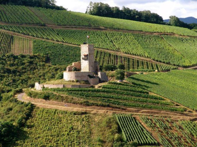 Gites Les Terrasses Du Wineck Katzenthal Exteriér fotografie